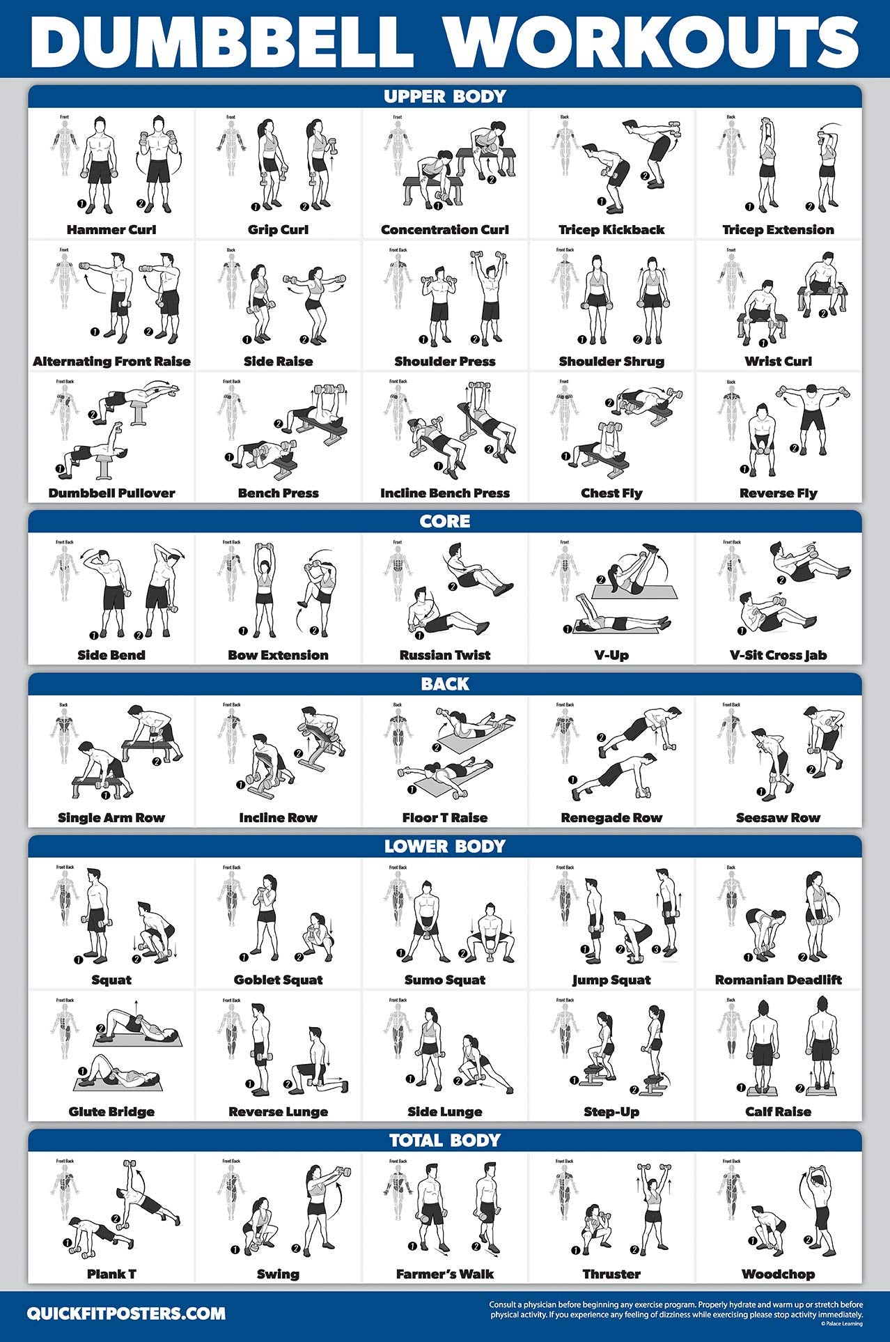 Palace Learning 3 Pack - Dumbbell Workout Posters for Home Gym - Volume 1, 2 & 3 - Exercise Charts (Laminated, 18" x 24")