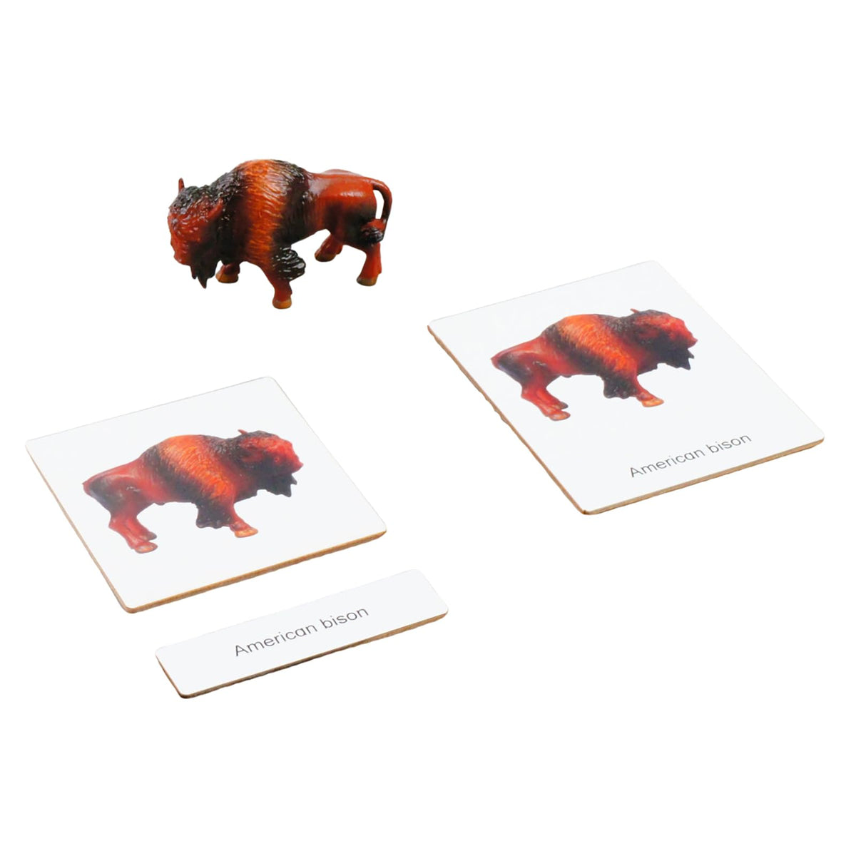 ancona North American Animals, Spanish/English Bilingual, Montessori Preschool Memory Matching Game Box Set with Animal Figurines & 3-Part Cards, Early Education Toy