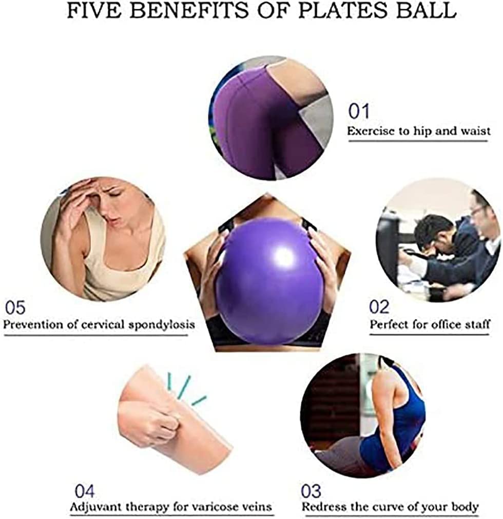 XIECCX 9 Inch Mini Exercise Pilates Yoga Balls Therapy Balance Micropore Ball Barre Equipment for Home Stability Physical Core Training with Pump(5 PCS)