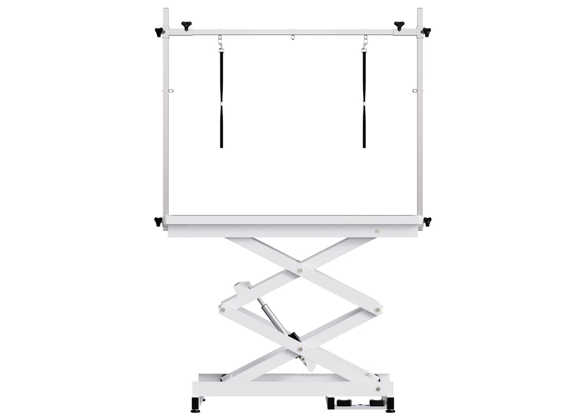 Flying Pig Heavy Duty Super-Low Electric Lift Dog Grooming Table