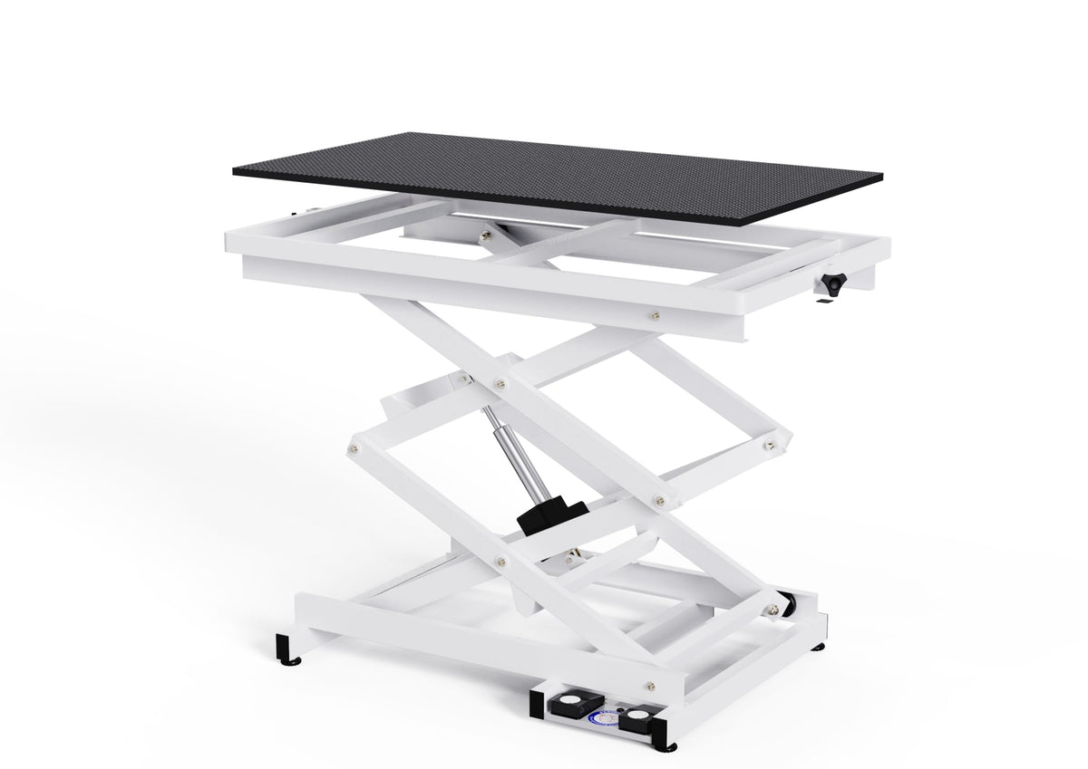 Flying Pig Heavy Duty Super-Low Electric Lift Dog Grooming Table