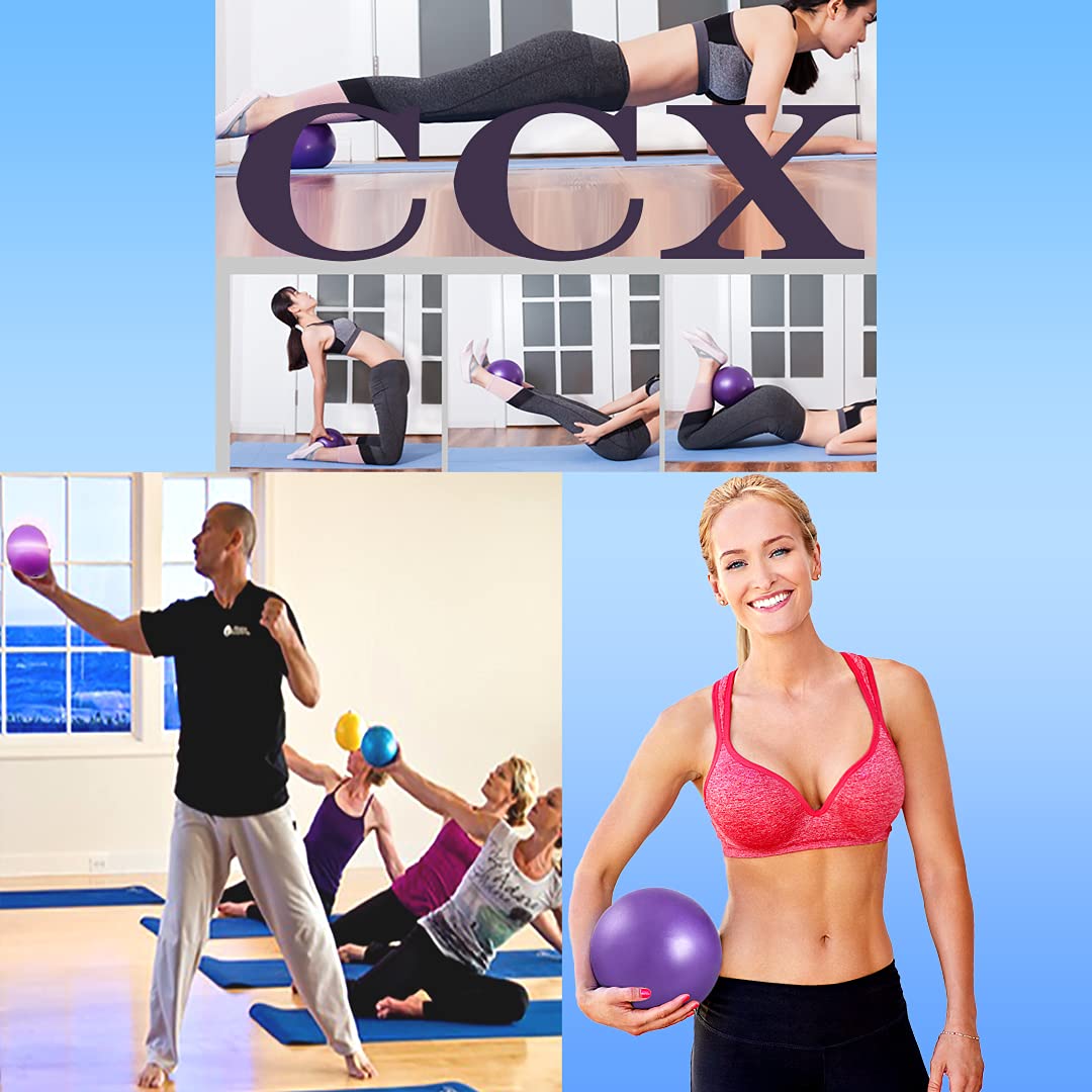 XIECCX 9 Inch Mini Exercise Pilates Yoga Balls Therapy Balance Micropore Ball Barre Equipment for Home Stability Physical Core Training with Pump(5 PCS)