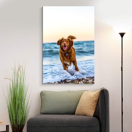 Custom Canvas Prints by NWT - Personalized Pet Photos for Wall Art | 24x16 Inches