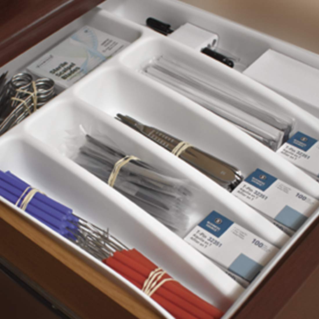Classroom Dissection Set