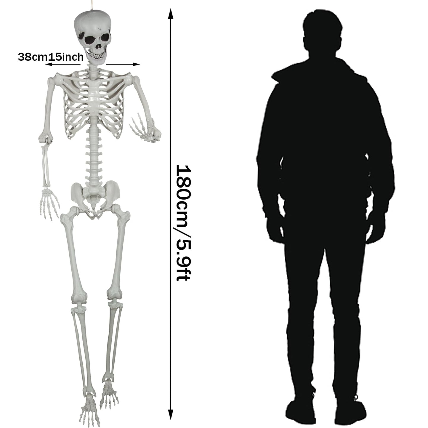5.9ft Halloween Life Size Skeleton Realistic Full Body Skeletons Plastic Human Bones with Movable Joints for Halloween Props Spooky Party Decoration (2, 5.9ft)