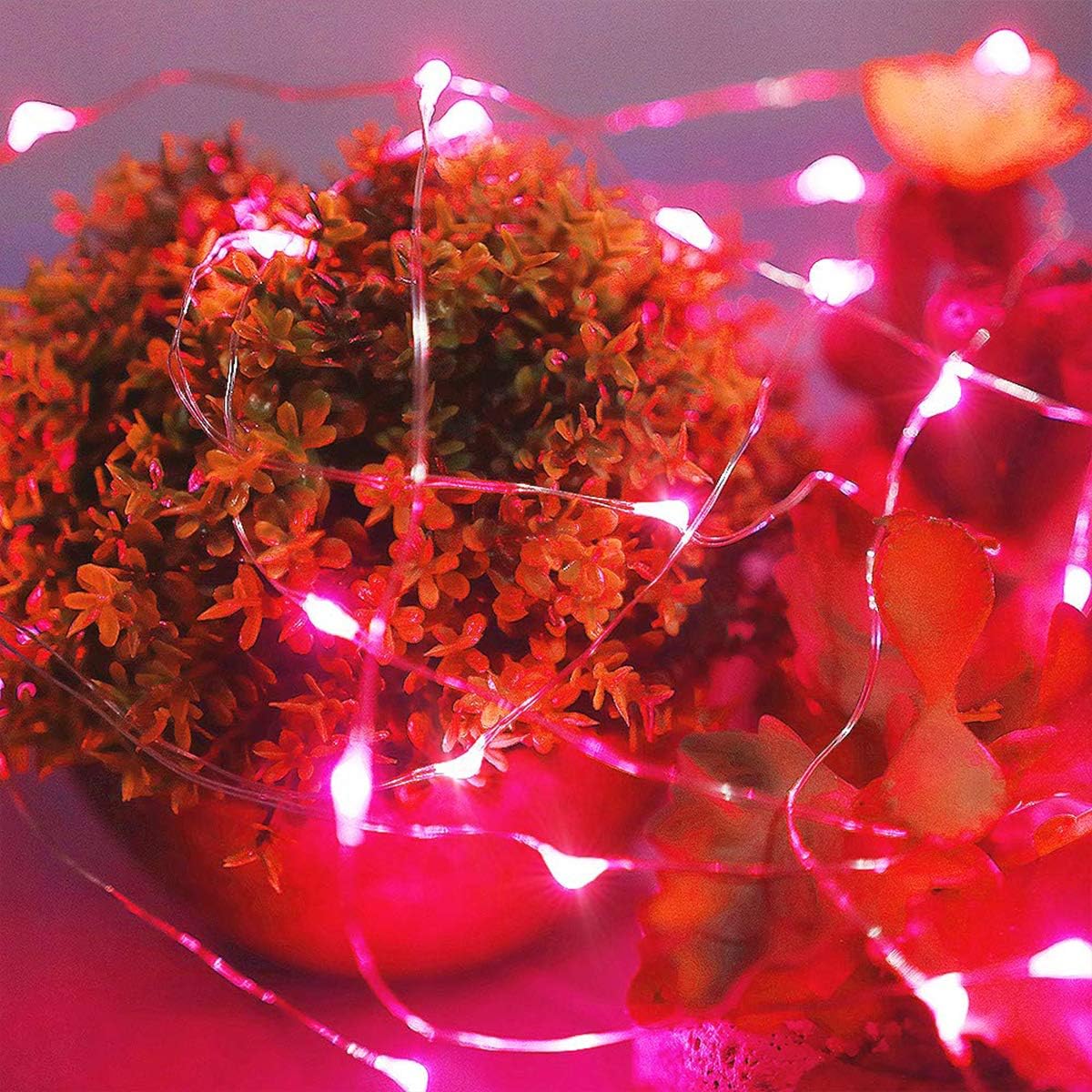 Ariceleo LED Fairy Lights - Battery Operated Copper Wire String Lights | 5m/16ft Red for Bedroom, Parties, Weddings