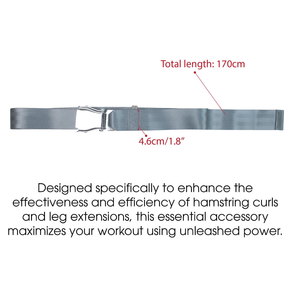 Leg Extension Seatbelt for Gym Lifting, Nordic Hamstring Curl Strap on Bench, 5.6ft L, Buckle Squat Collar for Workouts Machine Home Exercise Fitness Assisted Muscles Achieve Stability Women Men, Grey