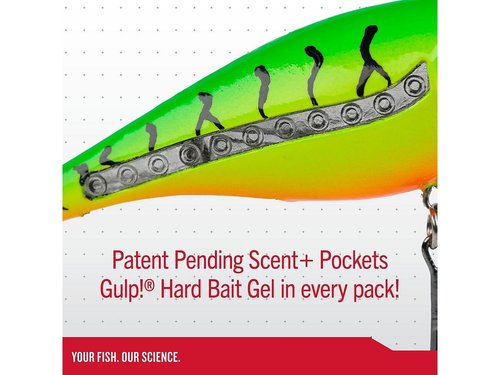 Berkley Scented Flicker Shad Tiger 5 Pack Fishing Lure, Assorted, 3/16 oz, 2in | 5cm Crankbaits, Size, Profile and Dive Depth Imitates Real Shad, Equipped with Fusion19 Hook
