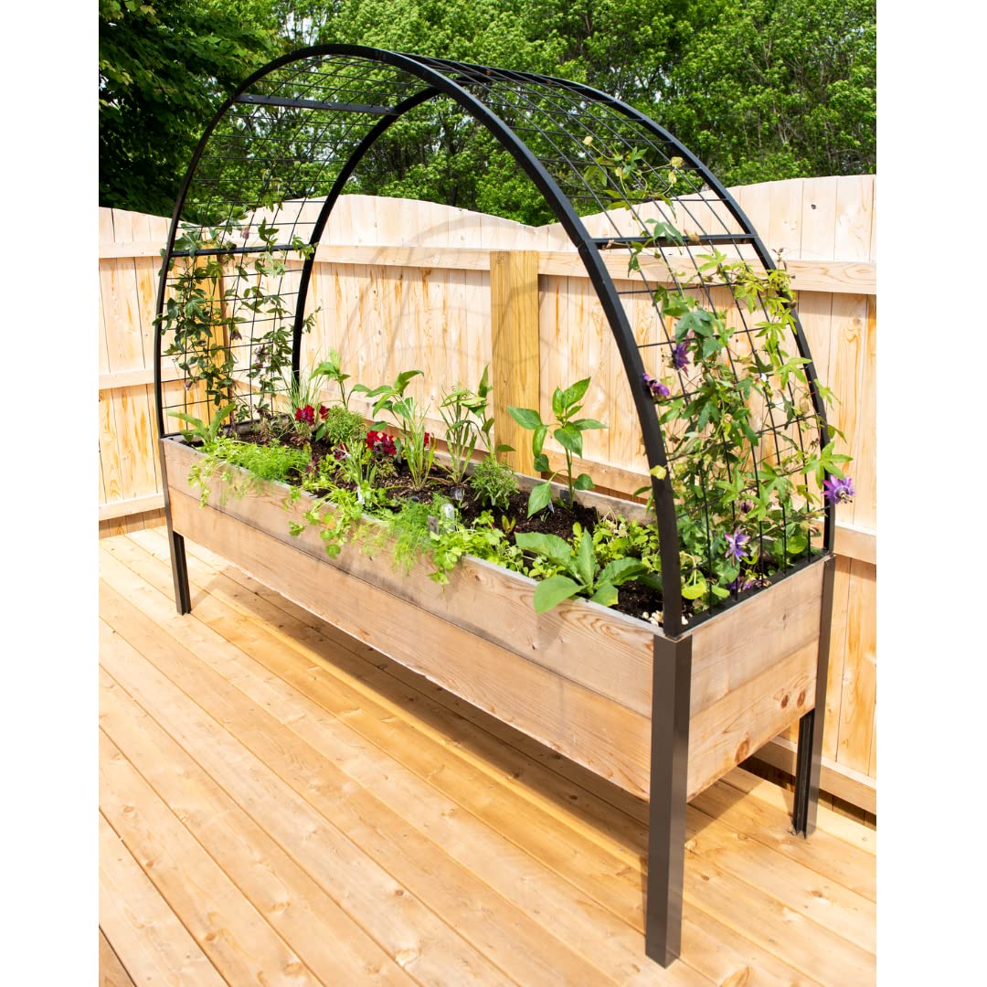 Gardener’s Supply Company Arch Trellis | Garden Arbor fits 2' x 8' Elevated Planter Boxes for Climbing Plants, Vegetables and Flowers | Decorative Outdoor Gardening Landscape