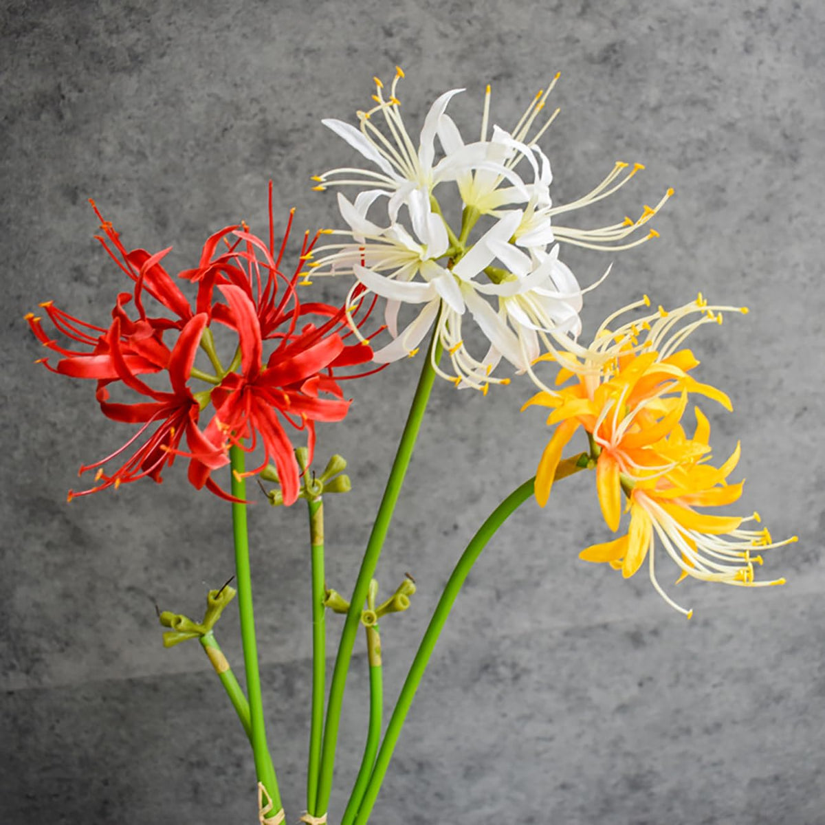 Qingriver 6 Sets 67 CM Lycoris Radiata Artificial Spider Lily Flowers Stonegarlic Clusteramaryllis for Home Garden Wedding Party Decor (Pure White)