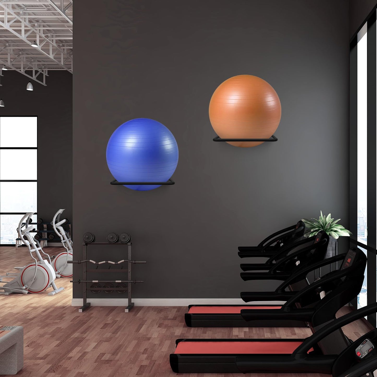 Large Stability Ball Wall Rack Yoga Ball Storage Rack, Yoga Studio and Home or Commercial Gym Exercise Ball Equipment Organizer (2Black)