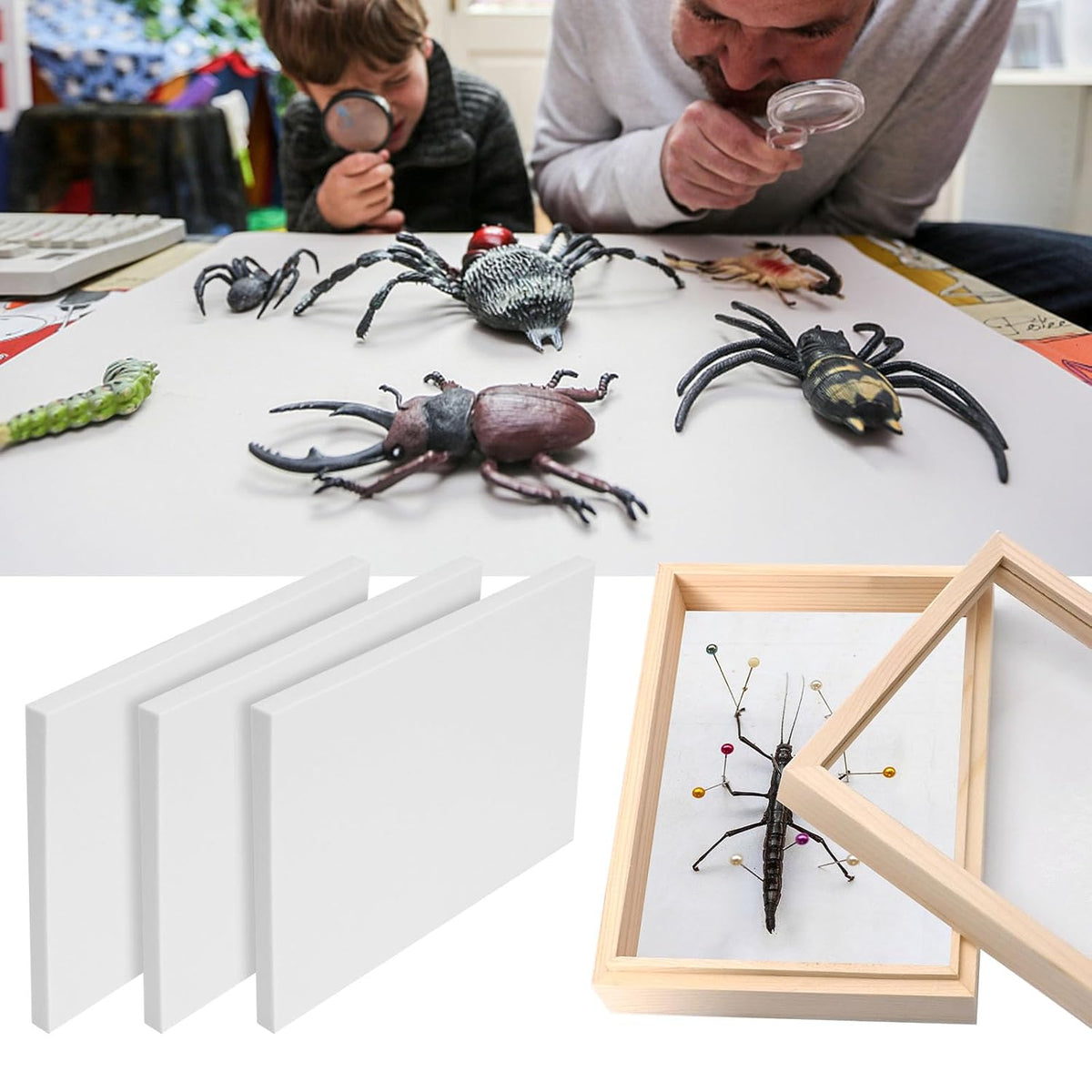 Saihisday Insect Pinning Board Set - 3Pcs EVA Foam Specimen Display Panels for Butterfly Collection