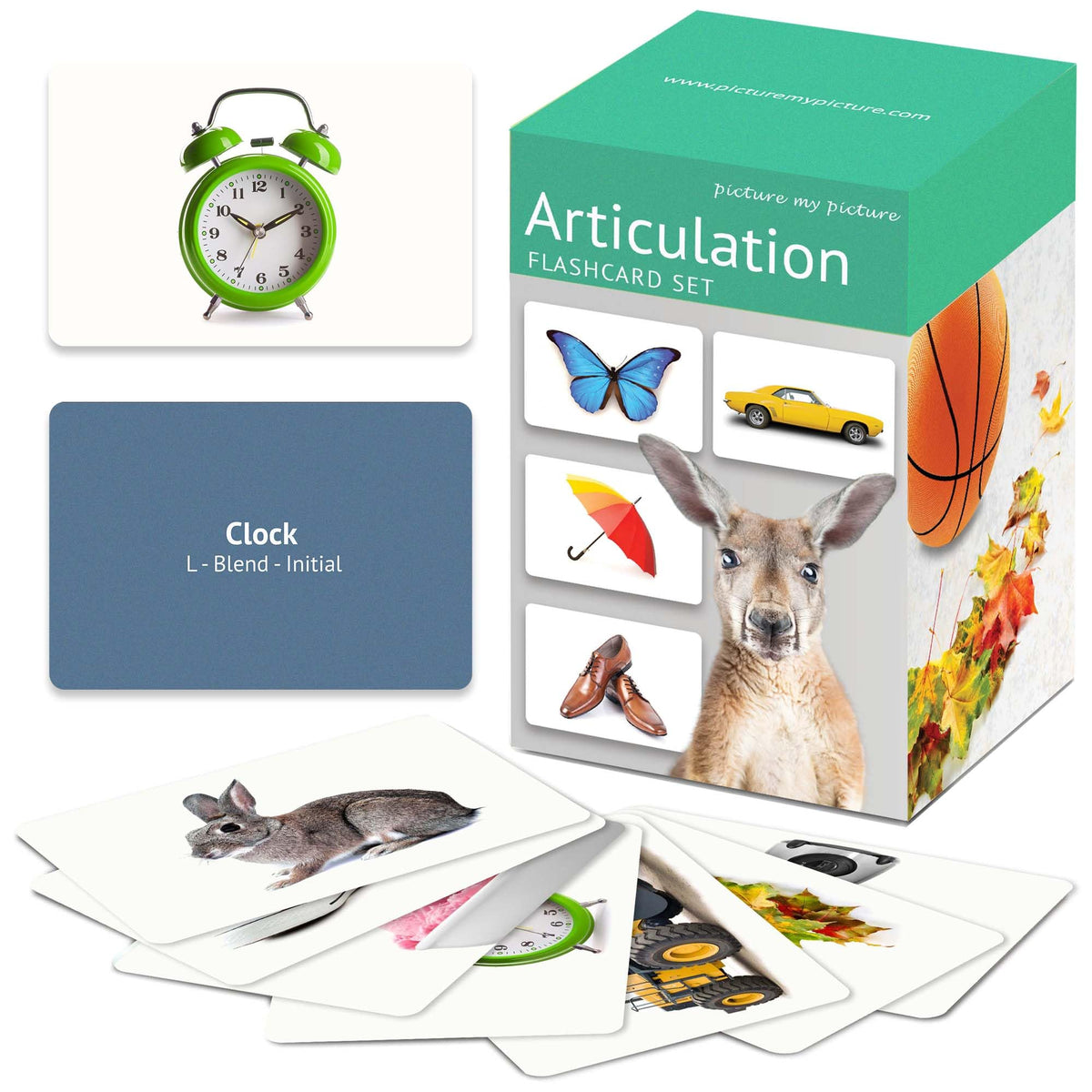 Picture My Picture Articulation Flash Card Set – Speech Therapy Tool for Vocabulary, Communication & Thinking, Scratch-Resistant with Activity Guide, Suitable for Education, ESL & ABA – Set of 210