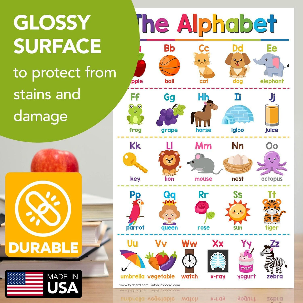 Farm Animals Educational Charts for Preschool to Gradeschool – Bright and Colorful Visual/Learning Aid Poster for Classroom or Home | Printed on Glossy Durable Cardstock | 11" x 17" | 5 per Pack