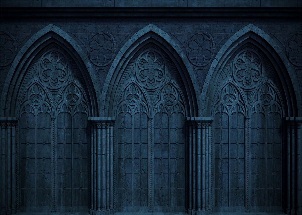 BELECO 10x6.5ft Fabric Dark Medieval Gothic Wall Backdrop Abandoned Night Castle Crypt Gothic Arch Stone Wall Background Medieval Themed Party Decorations Ghost Vampire Halloween Shoot Photo Props