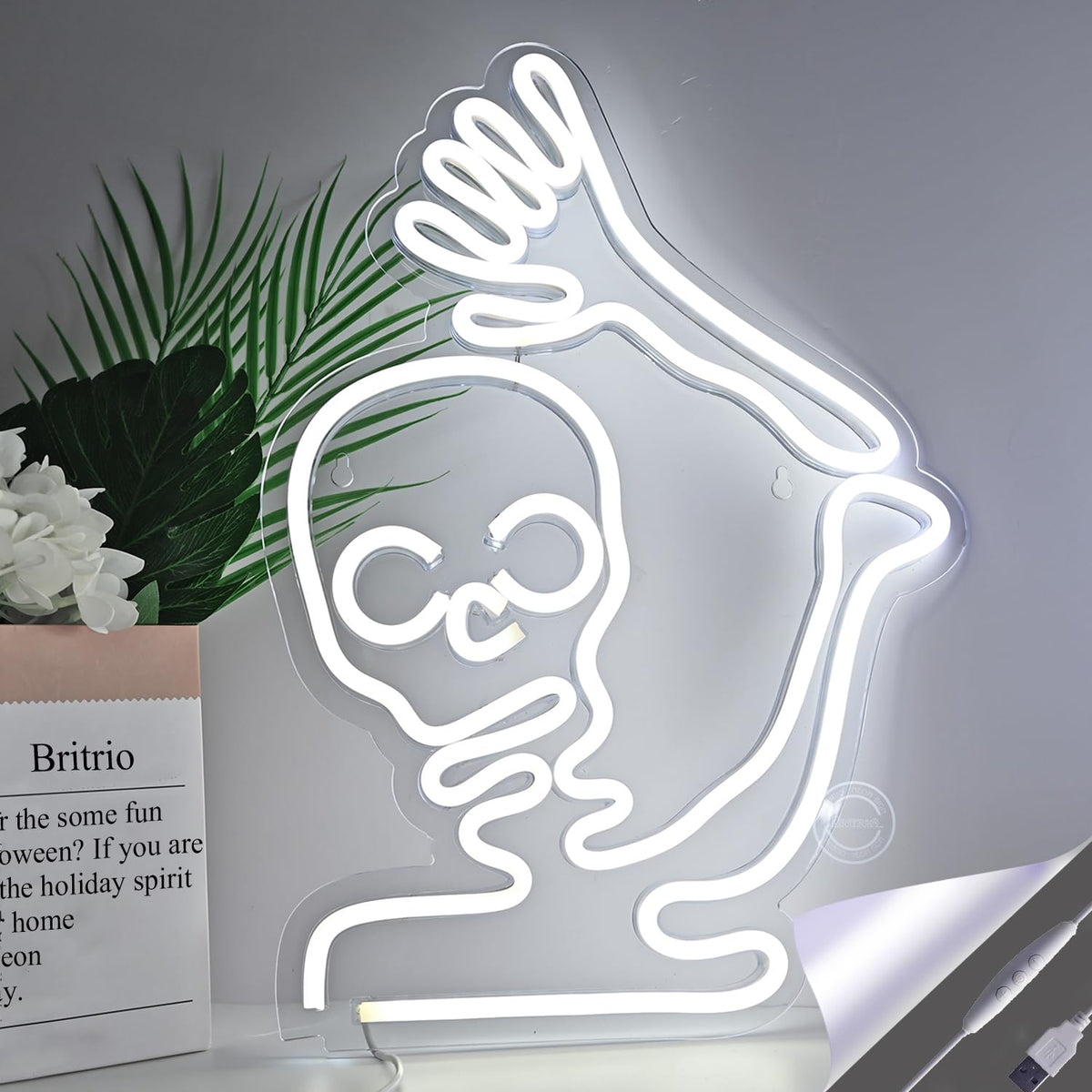 Britrio Skull Halloween Decoration LED Neon Sign Skeleton Wall Art Decor Light for Window Entryway Front Porch Door Bedroom Home Party Supply Kids Gift Cold White 5V Powered by Usb