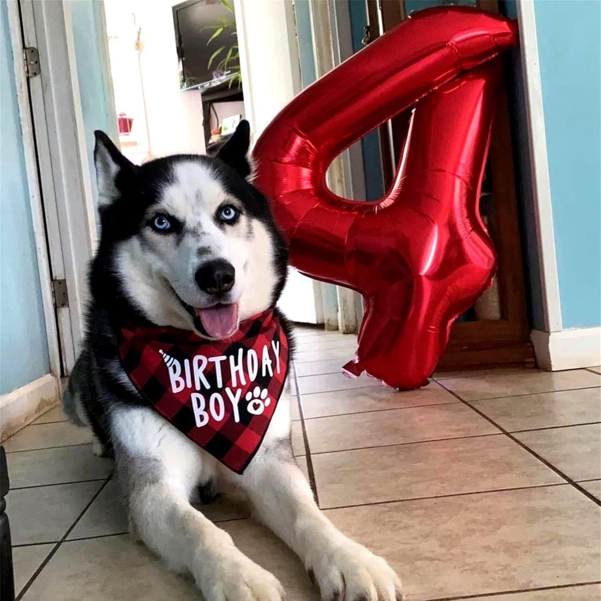 Self-Inflating 40-Inch Red Number 6 Balloons by [Brand Name] | Foil Mylar for Birthday Parties & Anniversaries