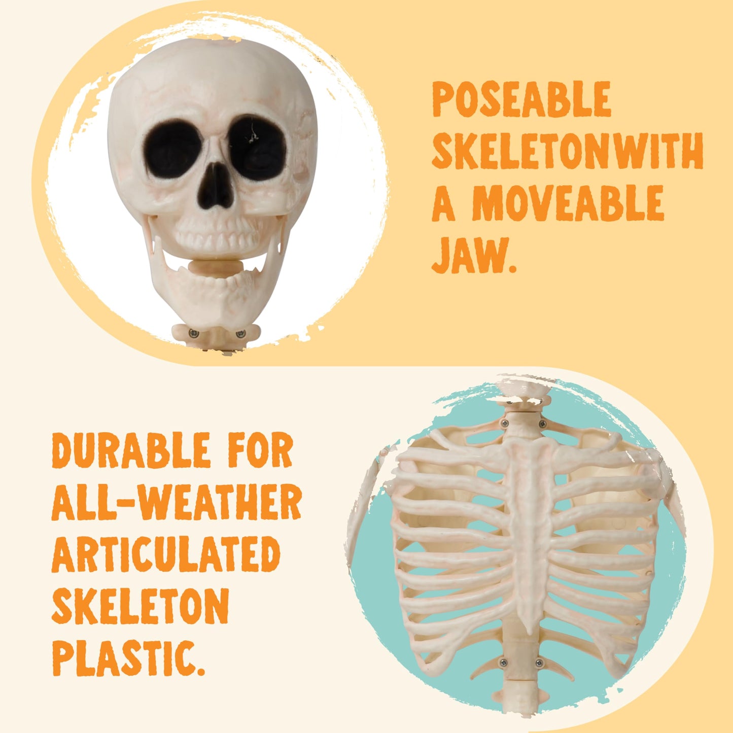 JOYIN 36" Halloween Skeleton Decor, 3FT Full Body Stayable Movable Joints, Posable Hanging Skeletons for Halloween Decoration, Yard, Graveyard, Haunted House Props, Spooky Scene Party Favor