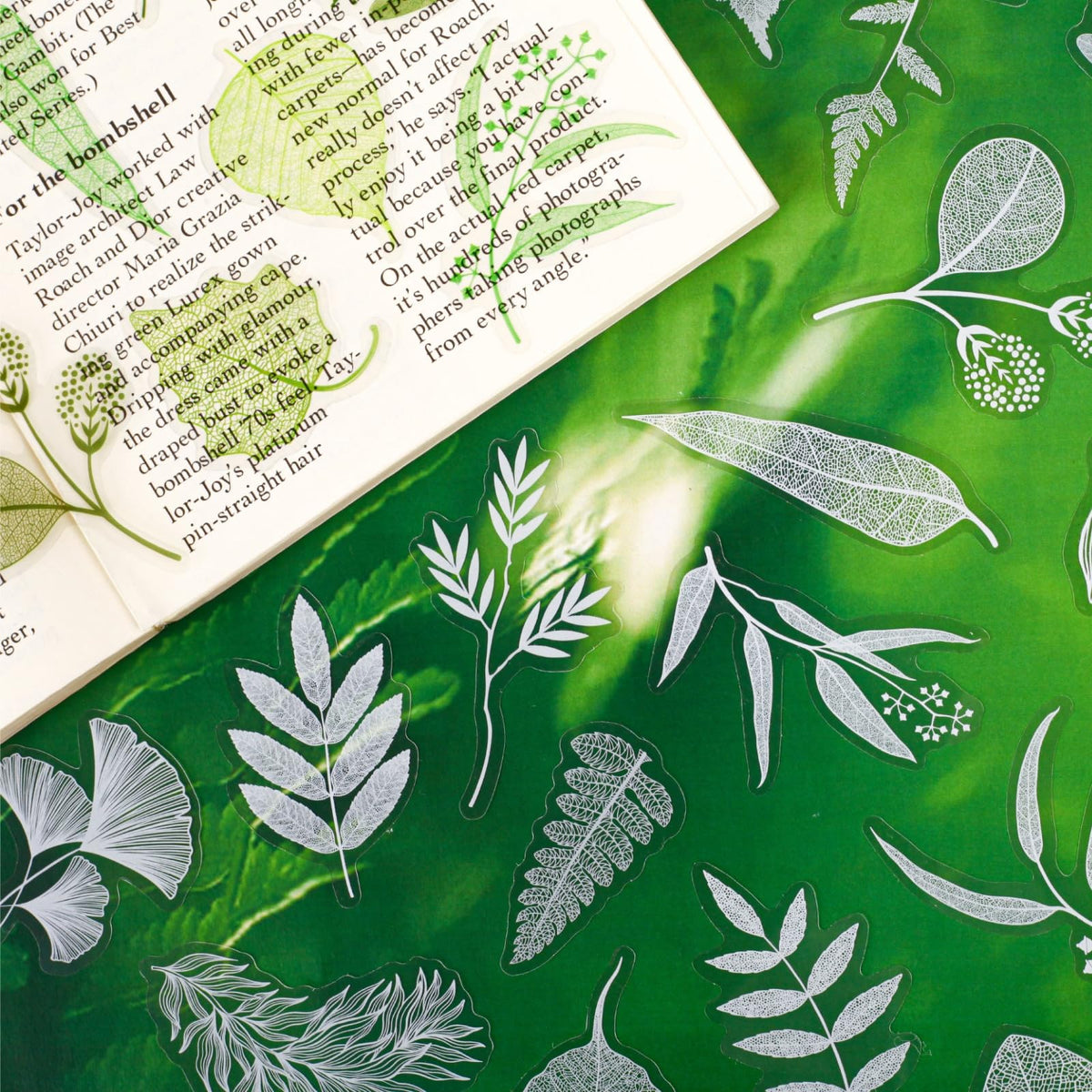 120 Pcs Realistic Skeleton Leaf Stickers, 6 Packs Aesthetic Leaf Vein PET Decals for Scrapbooking, Transparent Botanical Ephemera for Junk Journaling, Resin Art & DIY Crafts