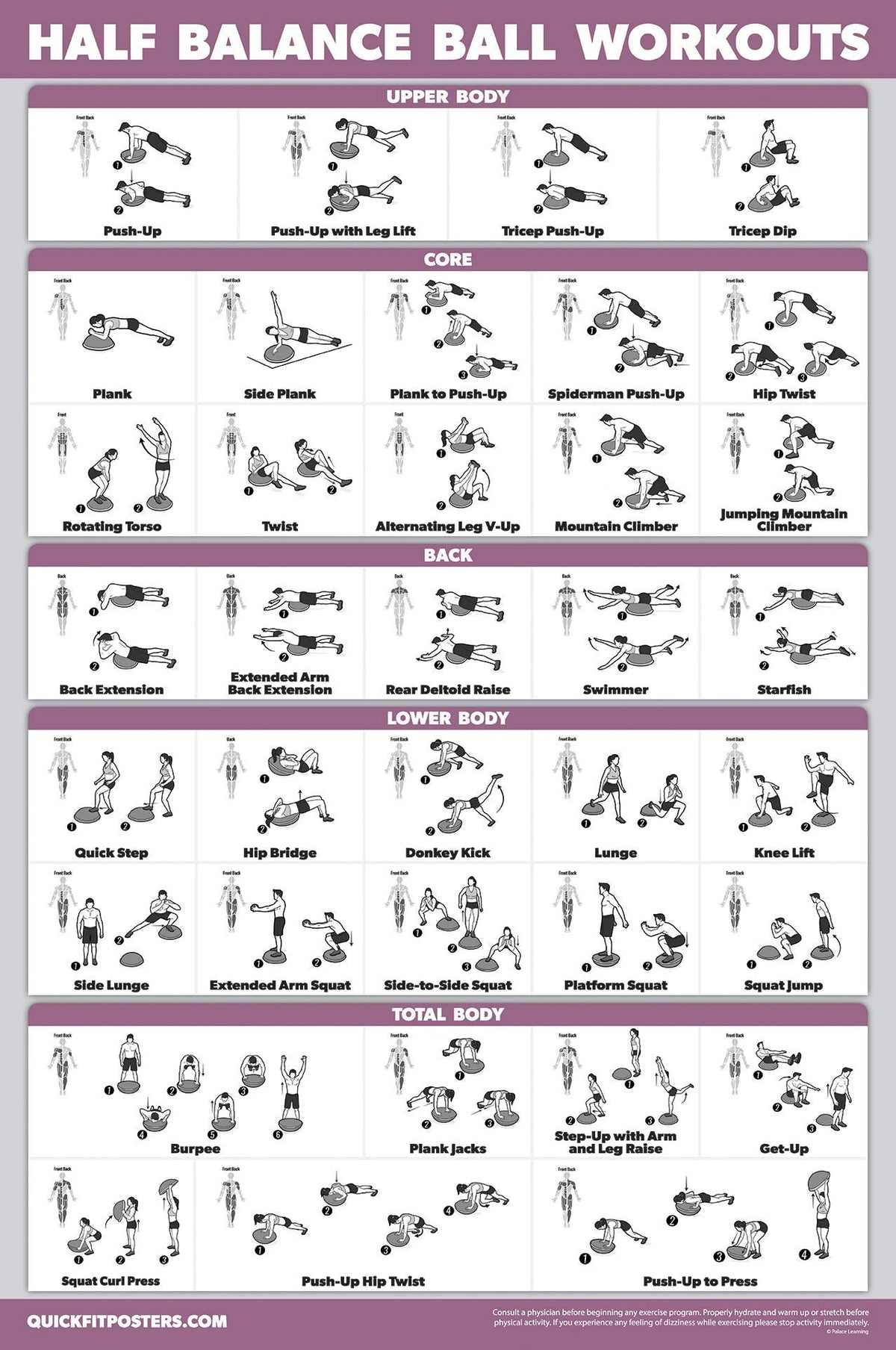Palace Learning Half Balance Ball Workout Poster - Exercise Chart (LAMINATED, 18" x 24")