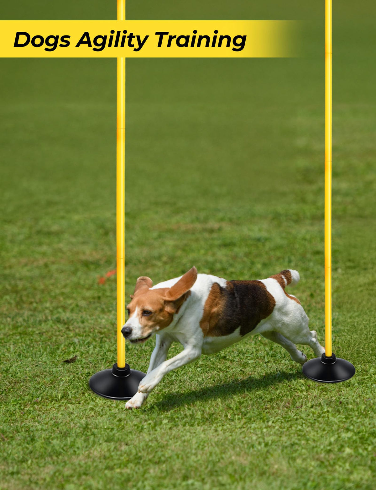 SEAOTTER 6ft Soccer Agility Poles Set, 10 Pcs Detachable Sports Trainning Speed Poles Slalom Poles with Rubber Base, Sport Agility Training Equipment for Football, Rugby, Basketball, Indoor & Outdoor