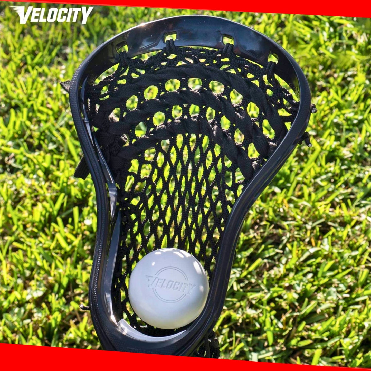 Velocity Practice Lacrosse Balls - 60 Pack - Official Size and Weight - Multi Color