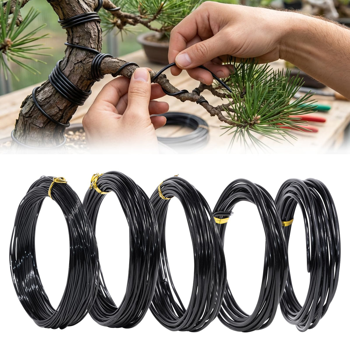 Little pot friend Bonsai Wire Kit, 147 Feet Total 5 Sizes Aluminum Plant Wire for Bonsai Training, Essential Bonsai Tools