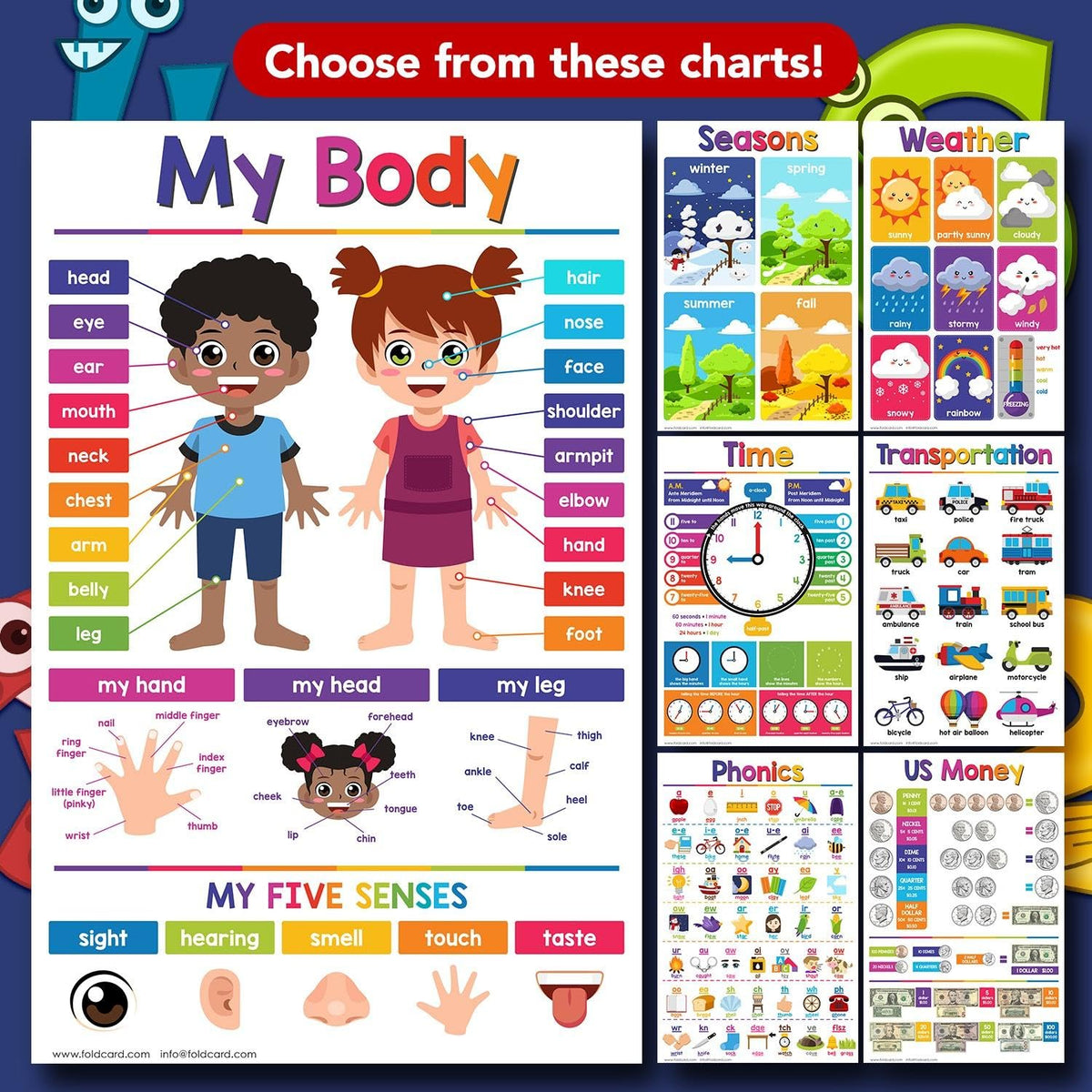 Seasons Educational Charts for Preschool to Gradeschool – Bright and Colorful Visual/Learning Aid Wall Art Poster for Classroom or Home | Printed on Glossy Durable Cardstock | 11" x 17" | 5 per Pack