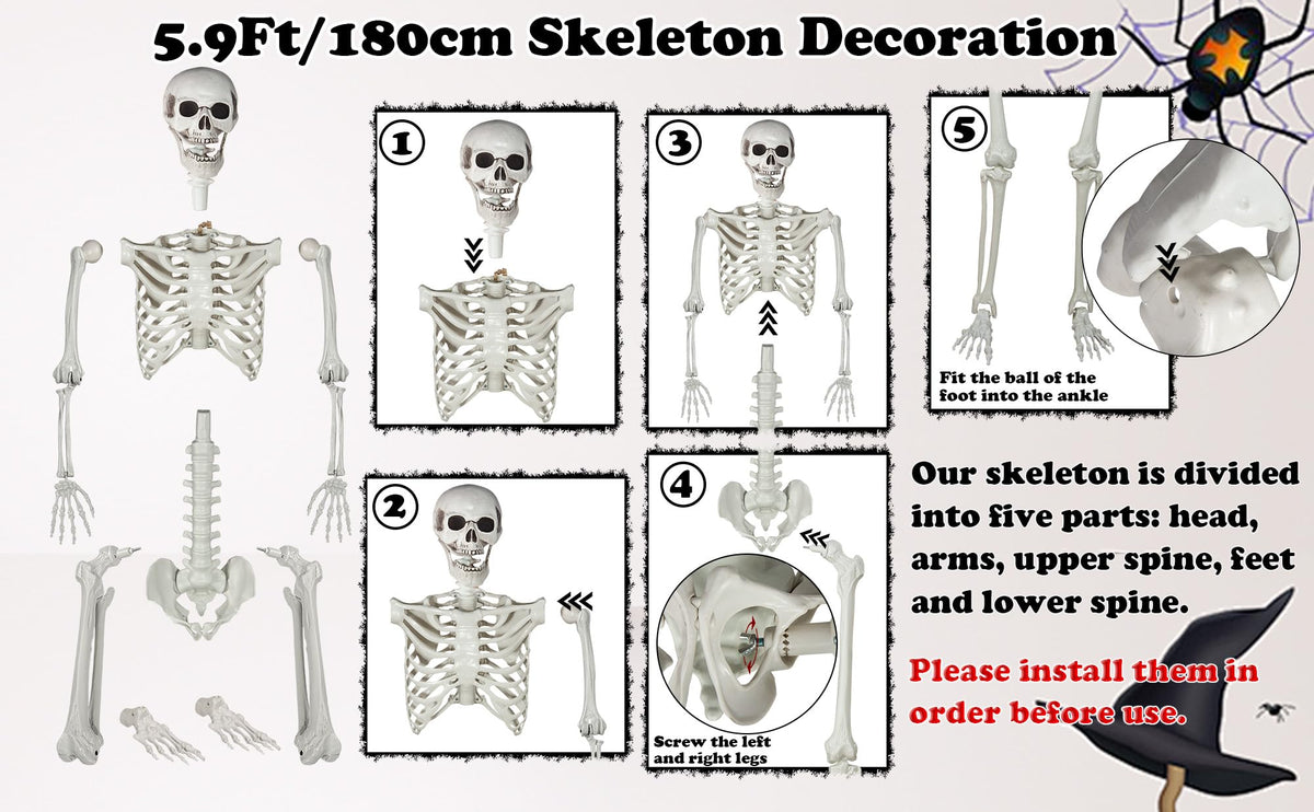 LaLamona 5.9ft/180cm Posable Halloween Skeleton, Life Size Skeleton Bones with Movable Joints for Halloween Graveyard Haunted House Spooky Scene Decor, 1pc