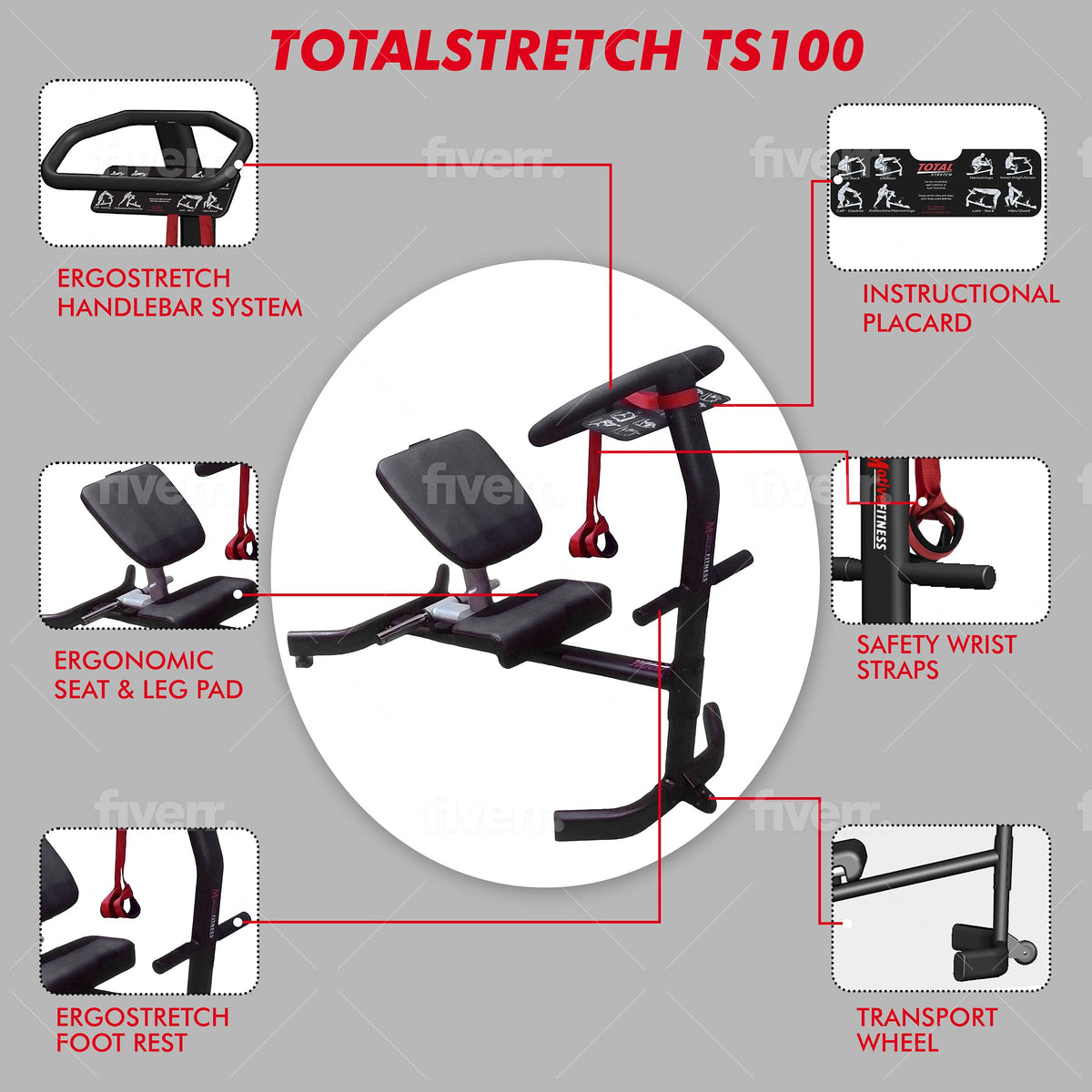 Motive Fitness TotalStretch TS100 Commercial Back & Body Stretching Machine