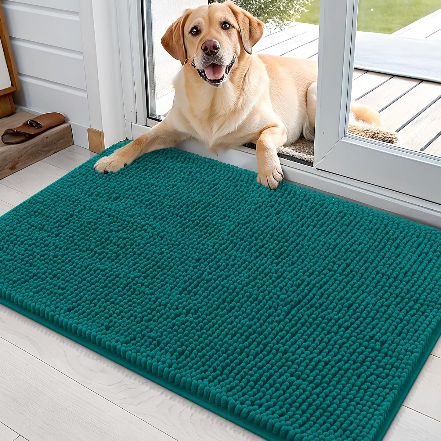 OLANLY Dog Door Mat - Absorbent Non-Slip Washable Doormat for Muddy Paws | 36x24, Lake Blue