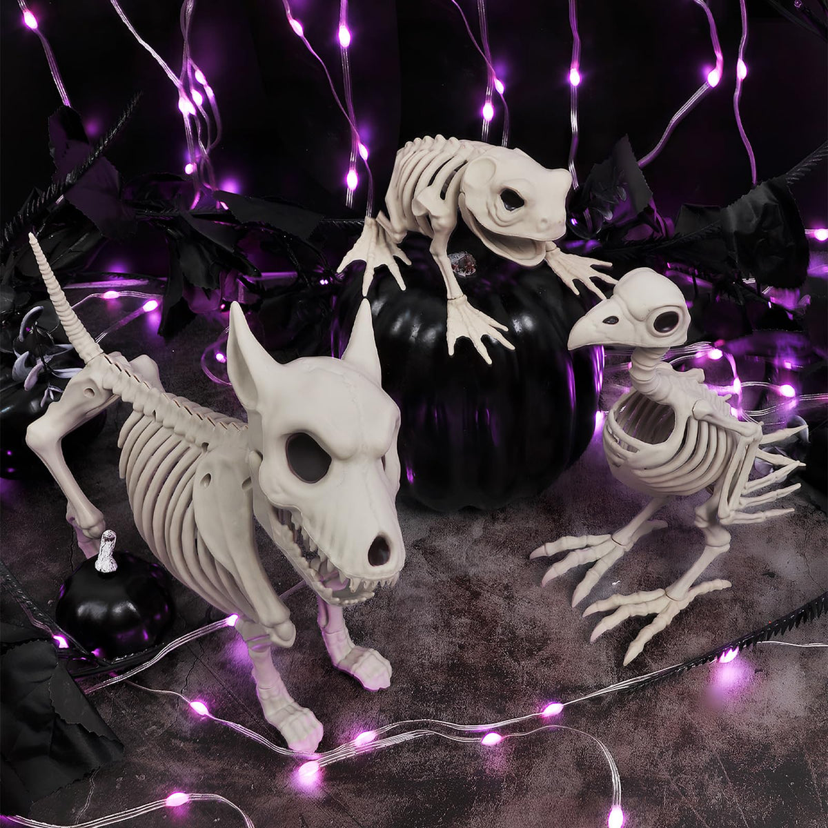 HRONG 3PCS Animal Skeleton Figurines, Plastic Skeletons Dog Crow Frog Ornaments, Halloween Skeleton Decorations for Home Office Desk, Spooky Party Favors & Gifts for Men Women