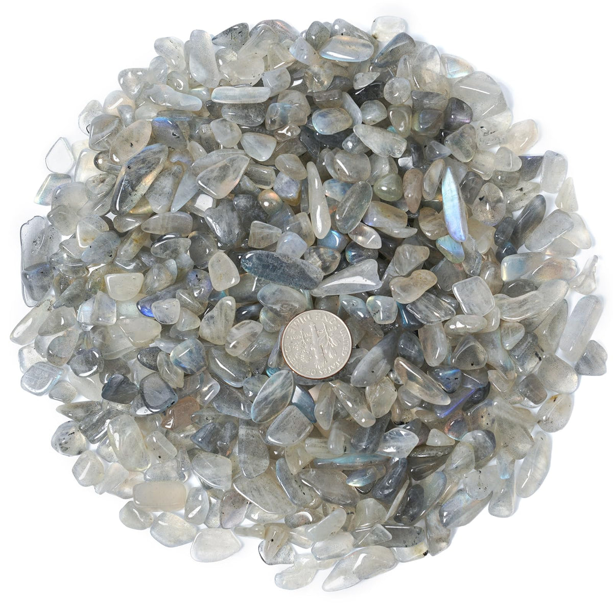ZenQ 1 lb Gray Moonstone Tumbled Stone Chips Crushed Natural Crystal Quartz Pieces