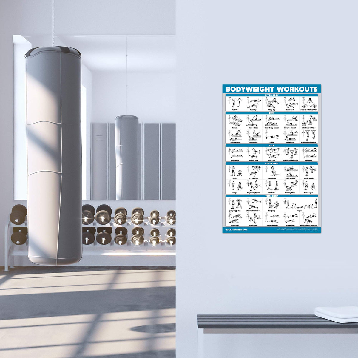 Palace Learning 4 Pack - Cable Machine Workout Posters Volume 1 & 2 + Bodyweight Exercises Chart Volume 1 & 2 (LAMINATED, 18" x 24")
