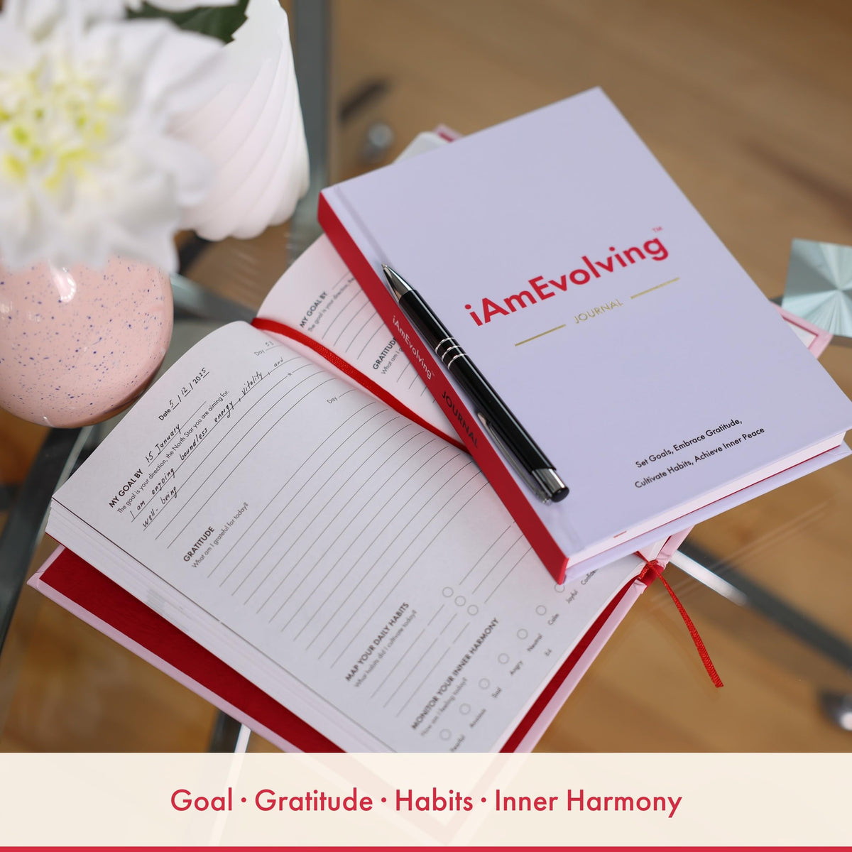 Daily Gratitude, Goal Setting & Habit Tracker Journal for Women & Men with 9-Point Emotional Wellness Scale — iAmEvolving™ 288-Page Hardcover Personal Growth Planner (Black Cover)