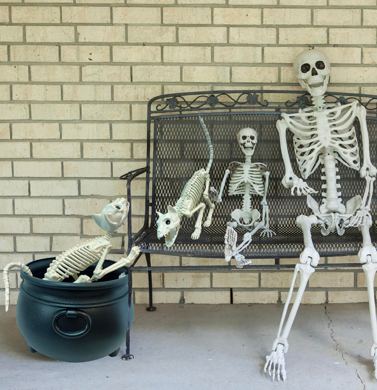 GIFTEXPRESS 2 Pack Real Size Cat Skeleton - 20" Long Creepy Kitten Skeletons with Posable Tail Halloween Decor - Indoor & Outdoor Haunted House Scary Animal Party Decoration
