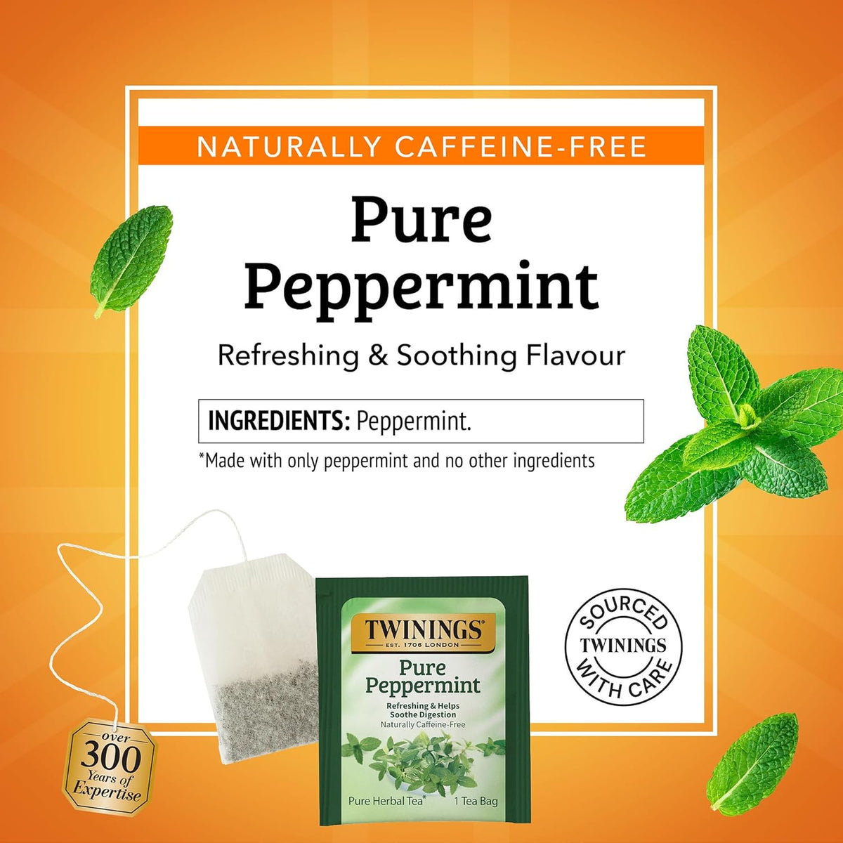 Twinings Pure Peppermint Herbal Tea - 50 Individually Wrapped Bags | Fresh Minty Flavor, Caffeine-Free