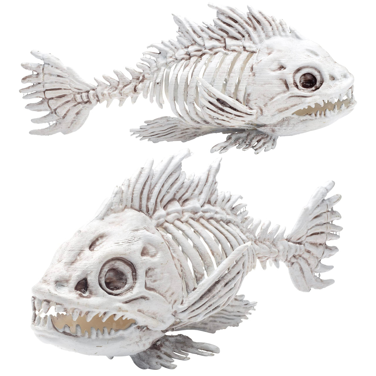 SCS Direct Piranha Fish Skeleton Halloween Decoration (2 Pack) 10" Long - Weather Resistant for Indoor/Outdoor - Upgrade Your Fall Graveyard Haunted House Party Props, Trick-or-Treat Decor