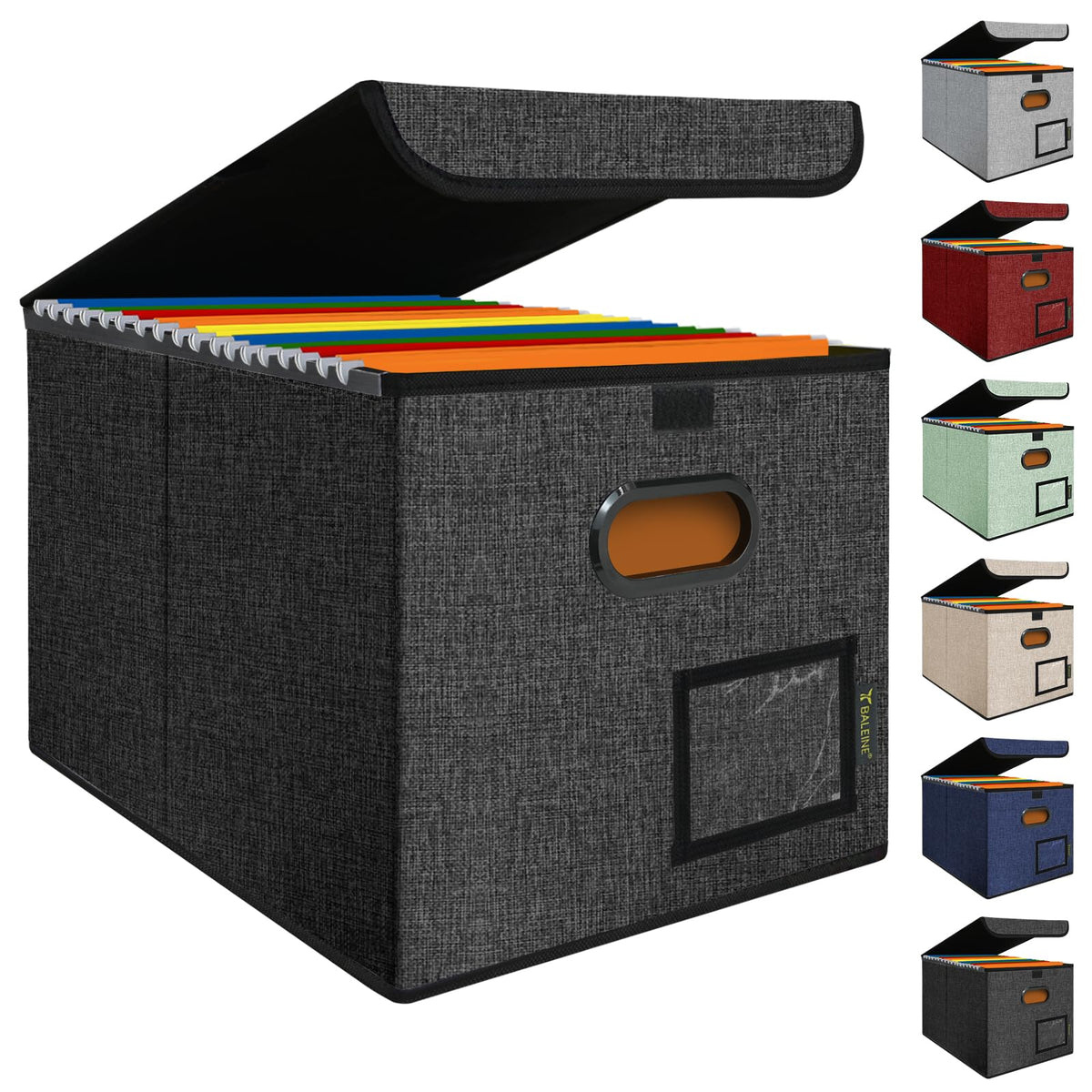 BALEINE File Organizer Box with Lid + Fireproof Document Bag with Lock
