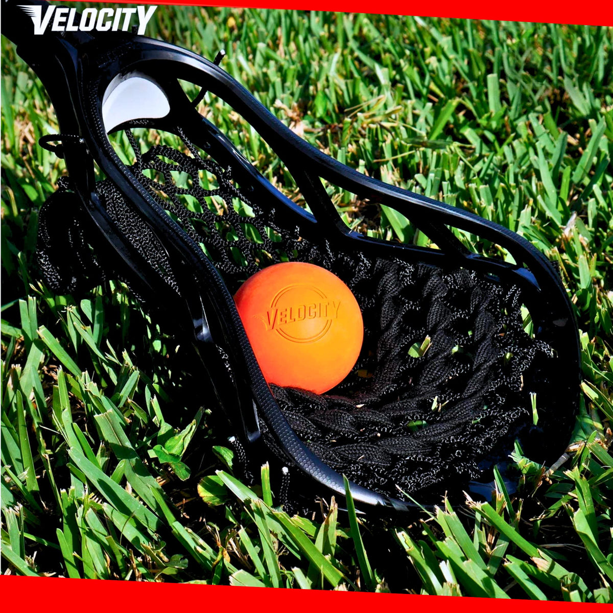 Velocity Practice Lacrosse Balls - 1, 2, 3, 6, 12, 18, 24, 36, 60 and 120 Packs - Official Size and Weight - Light Blue
